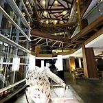 Hotel Zochova - Adult Friendly 4*