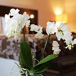 Zochova - Adult Friendly 酒店 4*