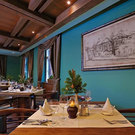 Zochova - Adult Friendly