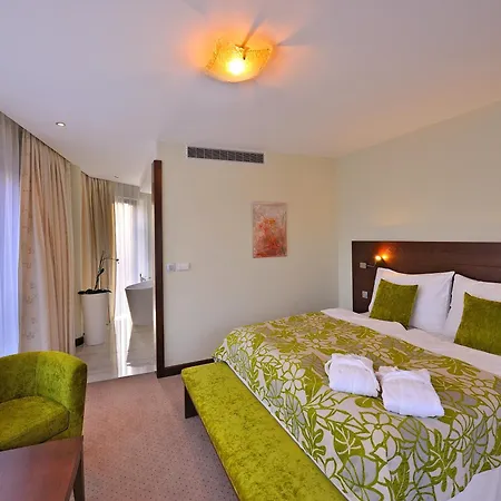 Zochova - Adult Friendly