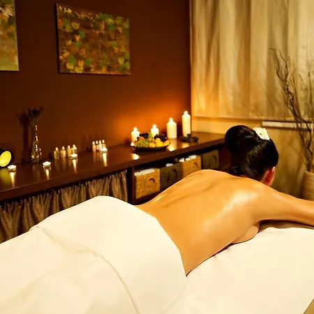 Zochova - Adult Friendly