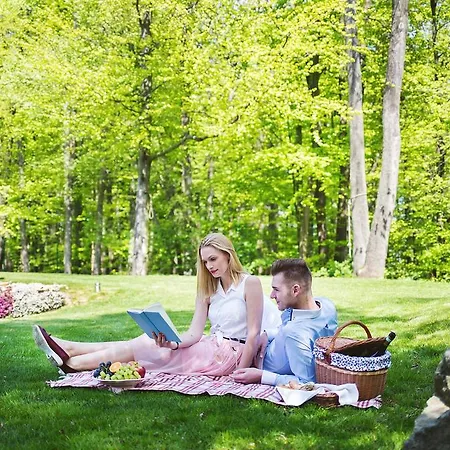 Zochova - Adult Friendly Modor