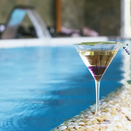 Zochova - Adult Friendly