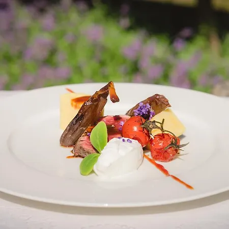 Zochova - Adult Friendly Modor