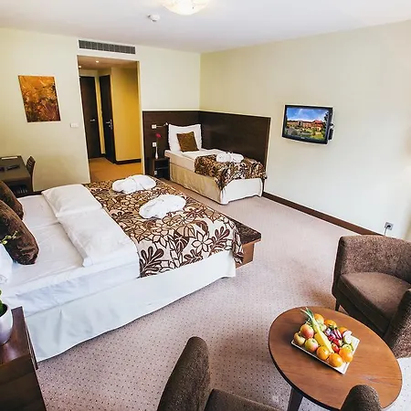 Zochova - Adult Friendly 4*