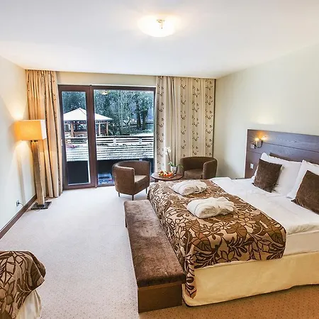 Zochova - Adult Friendly