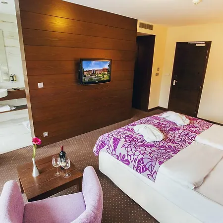 Zochova - Adult Friendly 4* Modor