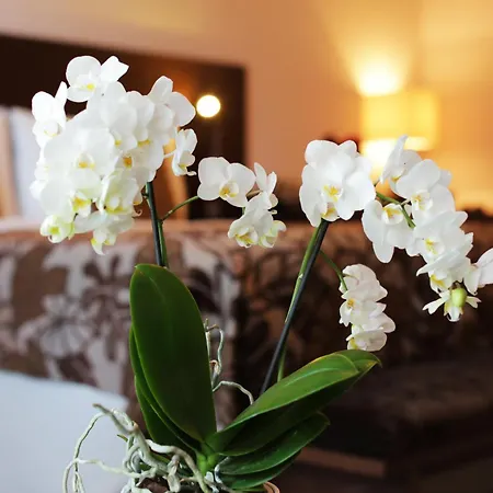 Zochova - Adult Friendly Szálloda 4*