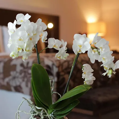 Zochova - Adult Friendly Hotel 4*