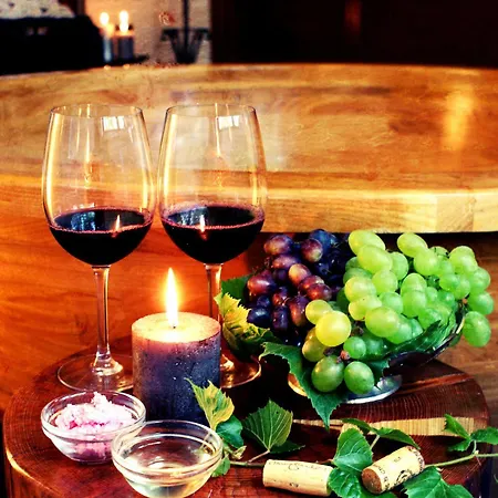 Szálloda Zochova - Adult Friendly Modor