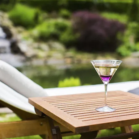 Zochova - Adult Friendly