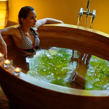 Zochova - Adult Friendly Modra