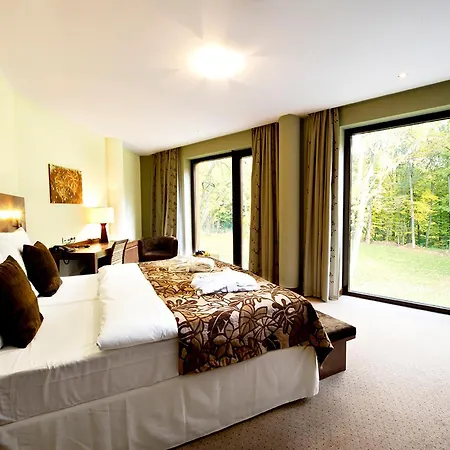 Zochova - Adult Friendly Modor