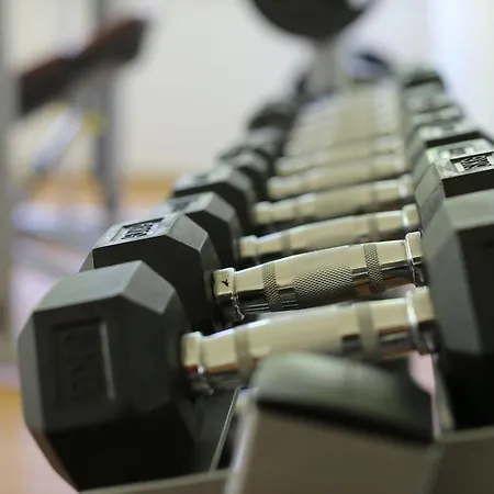 Zochova - Adult Friendly